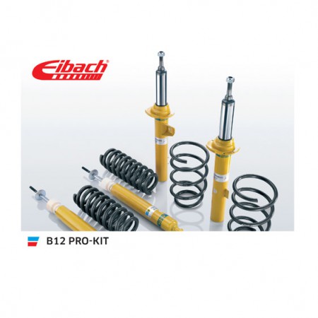 /products/b12-pro-kit/